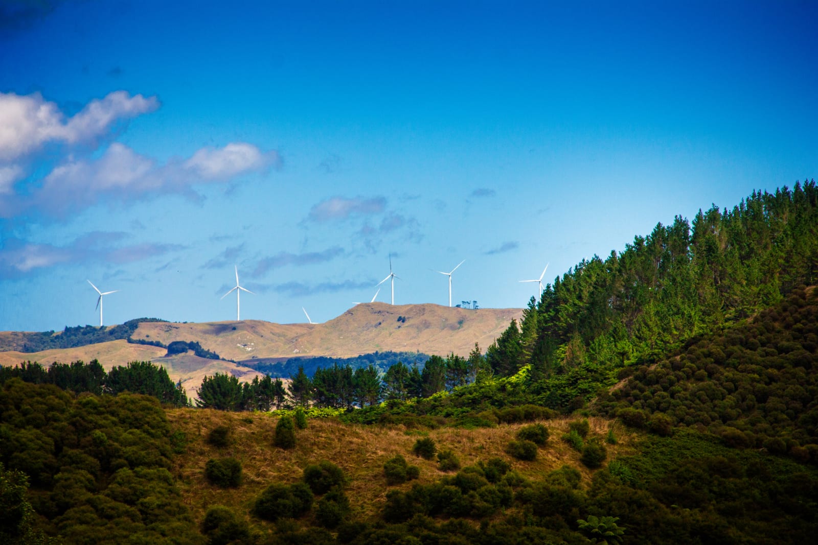 Energy & Renewables